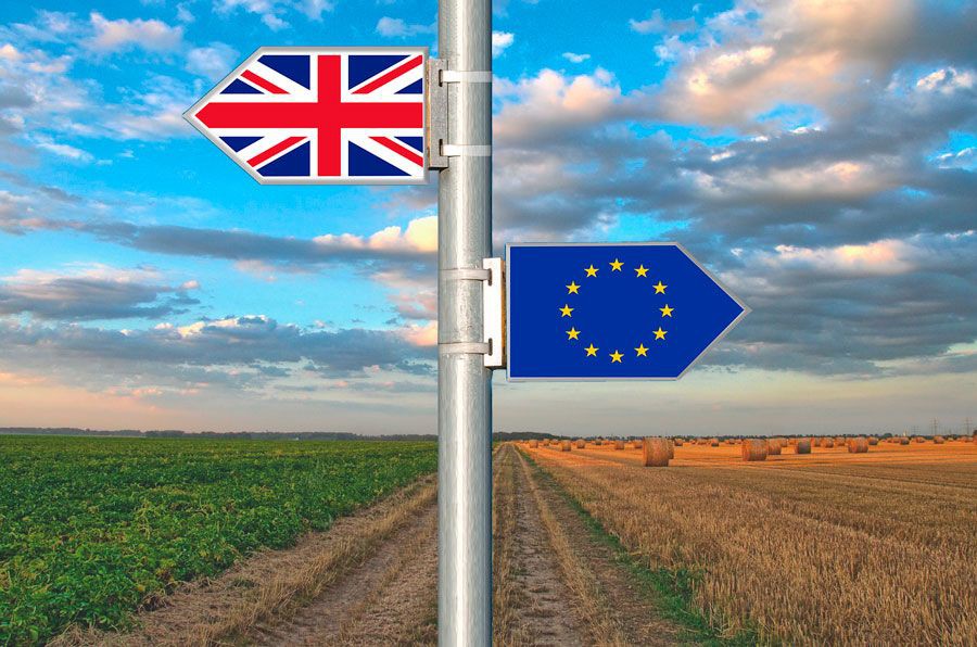¿Cómo afectará el brexit a la agricultura de Reino Unido y de la UE?
