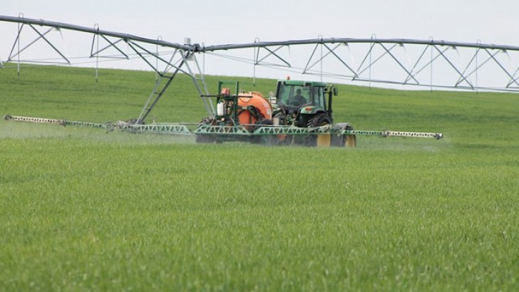 Organizaciones ecologistas piden a la ministra de Agricultura objetivos claros para reducir la dependencia de los pesticidas